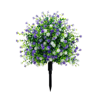 ViolaEver™ – Immer in Blüte, kein Gießen, kein Verblassen