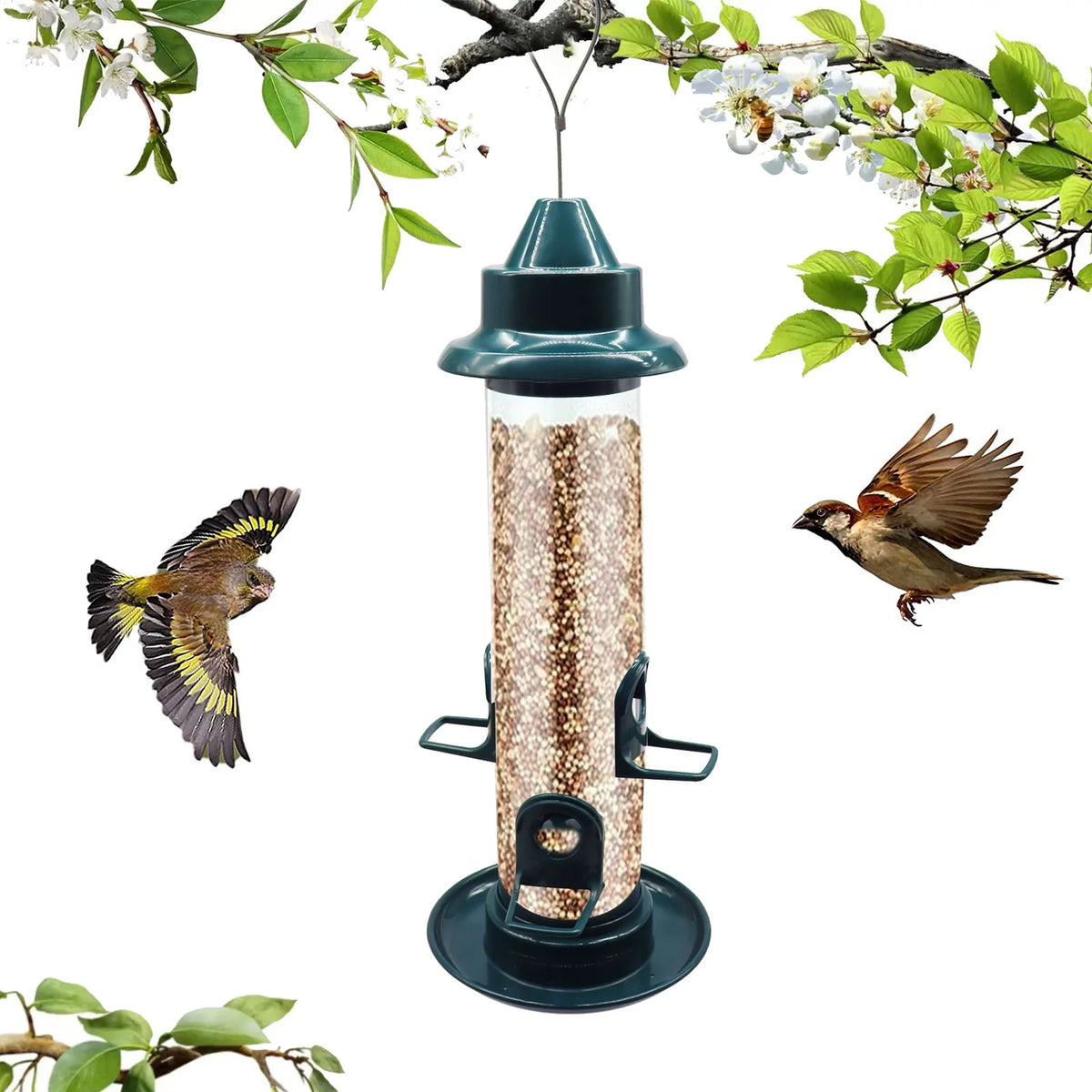PerchGuard – Automatischer Vogelfutterspender mit 4 Sitzstangen