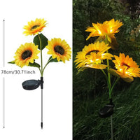 3 Sonnenblumenköpfe