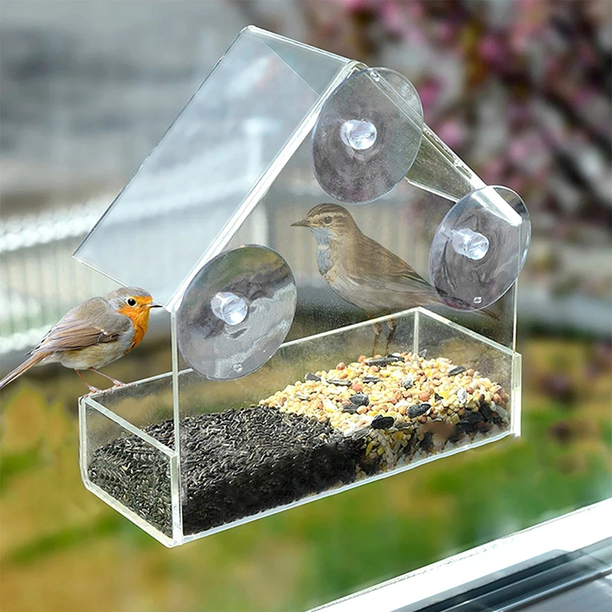 BirdView™ – Transparenter Vogelfutterspender