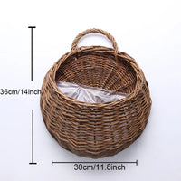 Braun 30CM