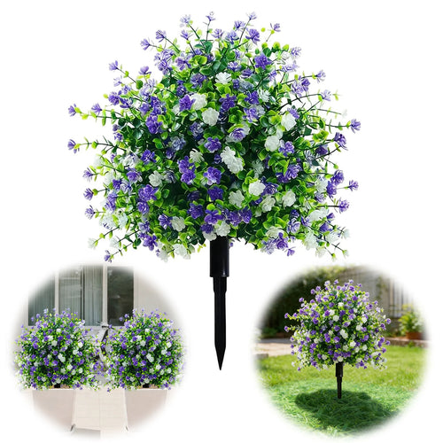 ViolaEver™ – Immer in Blüte, kein Gießen, kein Verblassen