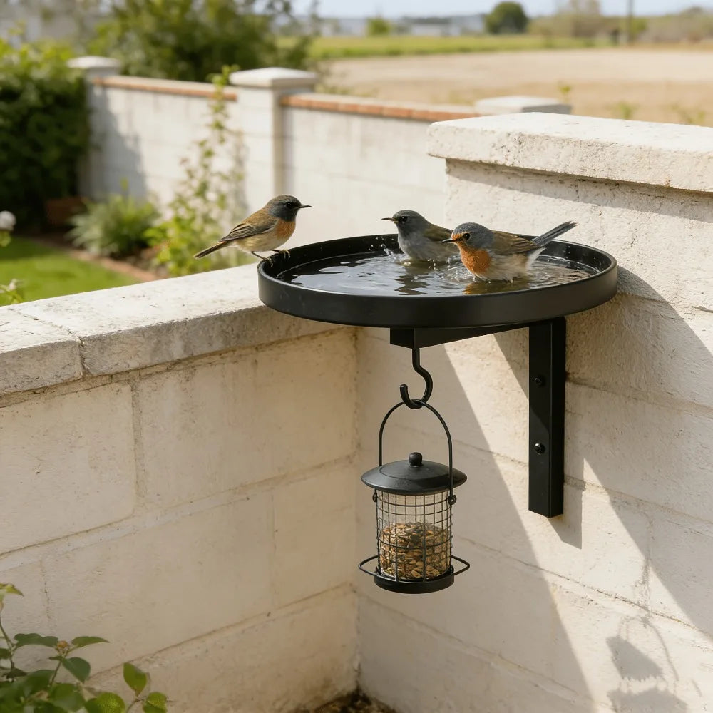 Plumora – Wandvogelbad mit Futterhaken