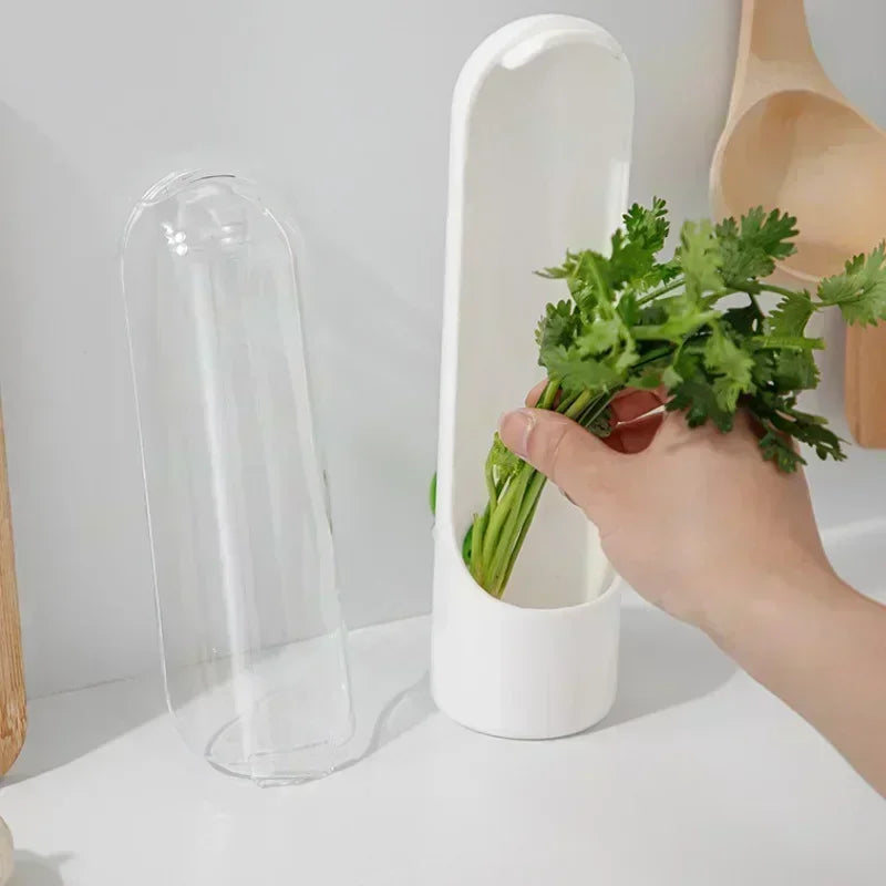 HerbGuard – Premium Kräuter-Frischebehälter