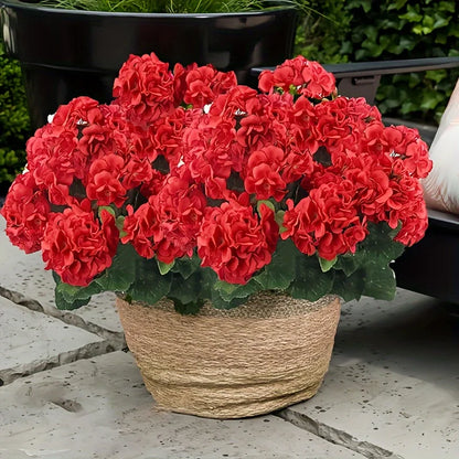 TerraCotta Glow™ – Premium Kunst-Geranien