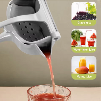 Edelstahl Fruchtpresse - Mühelos Frisch Saft