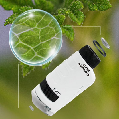 NanoScope – Mobiles Kinder-Mikroskop mit LED