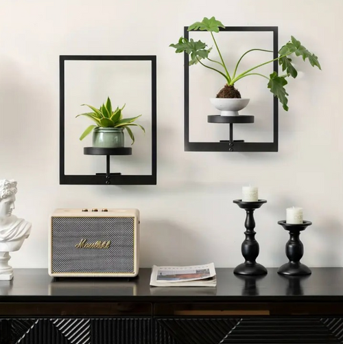 Verdant™ – Erschaffen Sie Ihre eigene lebende Galerie