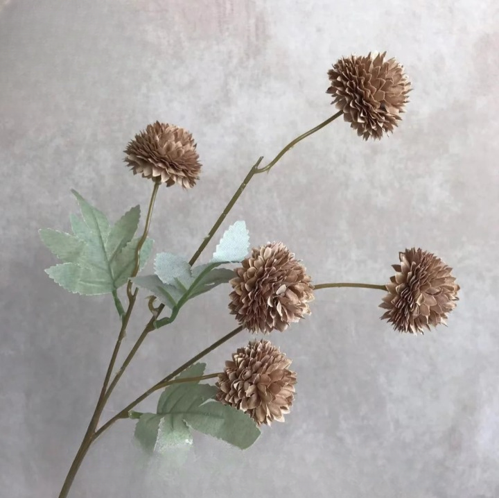 FloraGlobe™ – Zeitlose florale Eleganz (10 Stück)