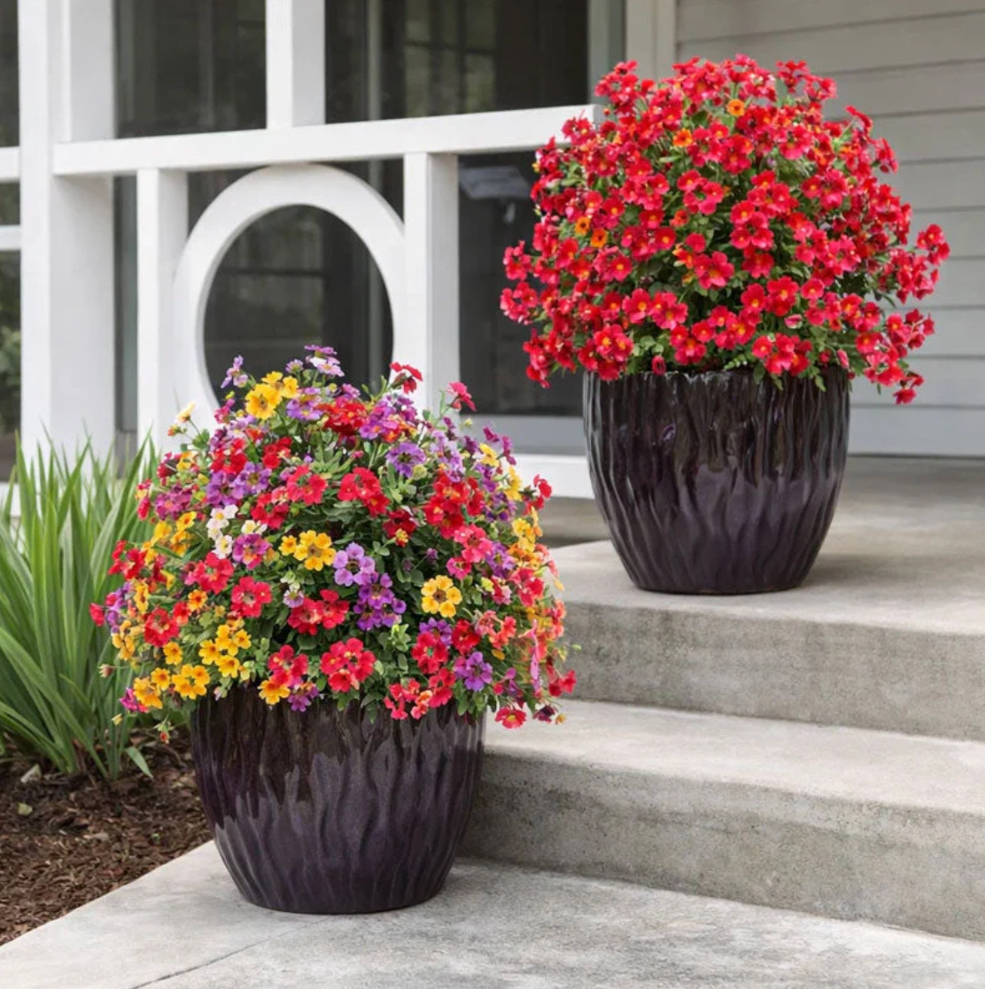 EverBloom™ – Die Ewige Blütenpracht