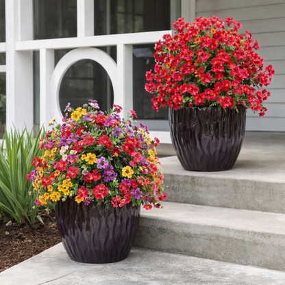 EverBloom™ – Die Ewige Blütenpracht