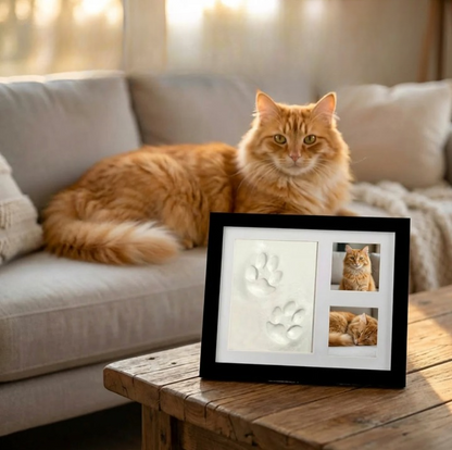 EverPaw™ – Das 3D-Pfotenabdruck Memorial Set