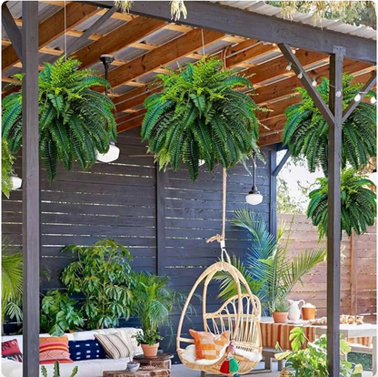 EverFern™ – Der Bionische Design-Farn