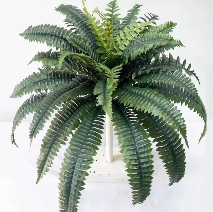 EverFern™ – Der Bionische Design-Farn