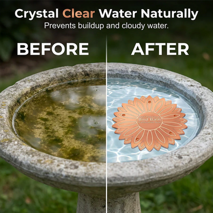 CopperPure™: Kristallklares Wasser für Ihr Vogelbad