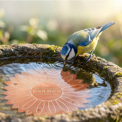 CopperPure™: Kristallklares Wasser für Ihr Vogelbad