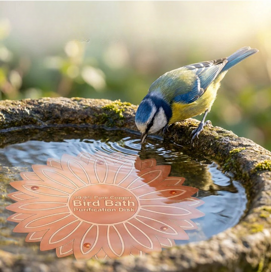 CopperPure™: Kristallklares Wasser für Ihr Vogelbad
