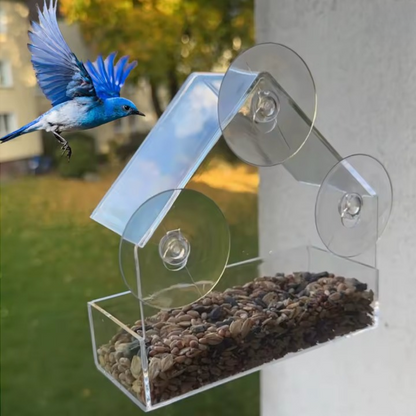 BirdView™ – Transparenter Vogelfutterspender