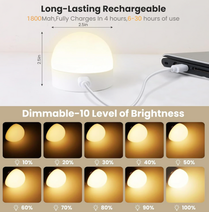 Wiederaufladbare Glühbirnen mit Fernbedienung