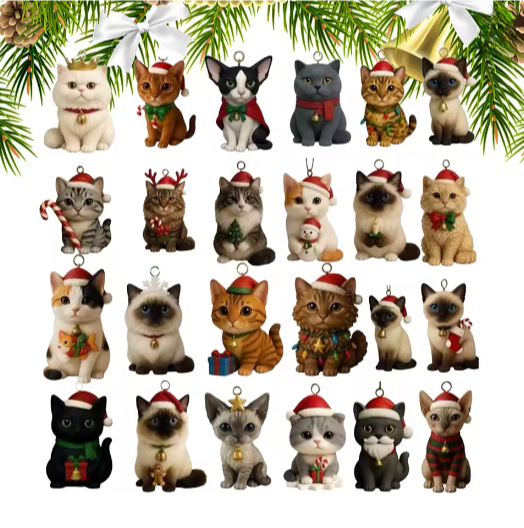 Adventskalender für Katzenliebhaber 2025