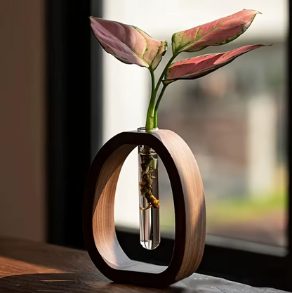 Hydroponische Vase aus Walnussholz und Glas