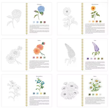 Aquarell Malbuch für Anfänger - Ruhe, Farben & Kunst