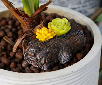 Geheim Safe Stein Schlüssel - Sicher und Versteckt