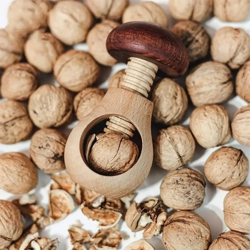 NutCap™ – Der Pilz-Nussknacker