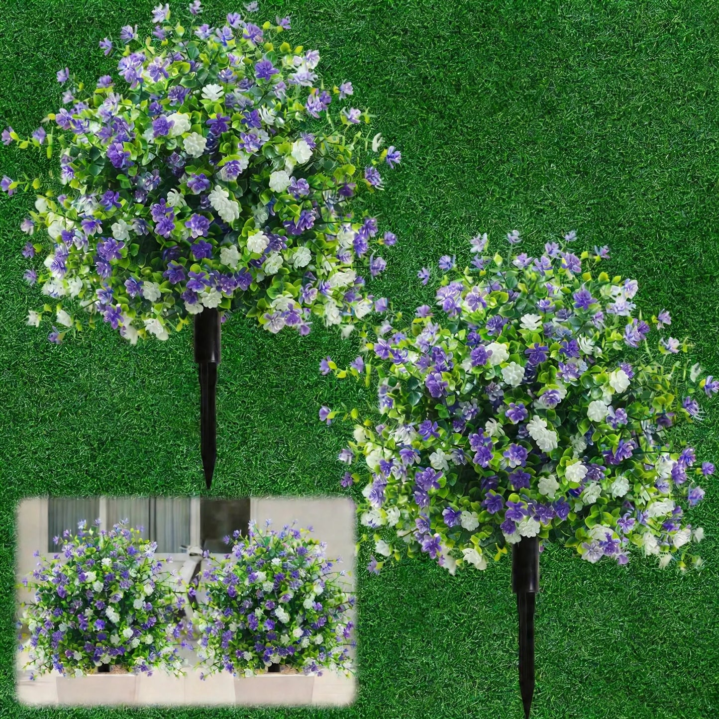 ViolaEver™ – Immer in Blüte, kein Gießen, kein Verblassen