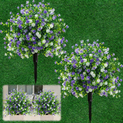 ViolaEver™ – Immer in Blüte, kein Gießen, kein Verblassen