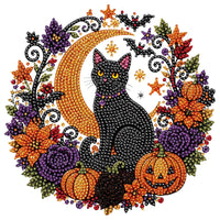 Katze Schwarz