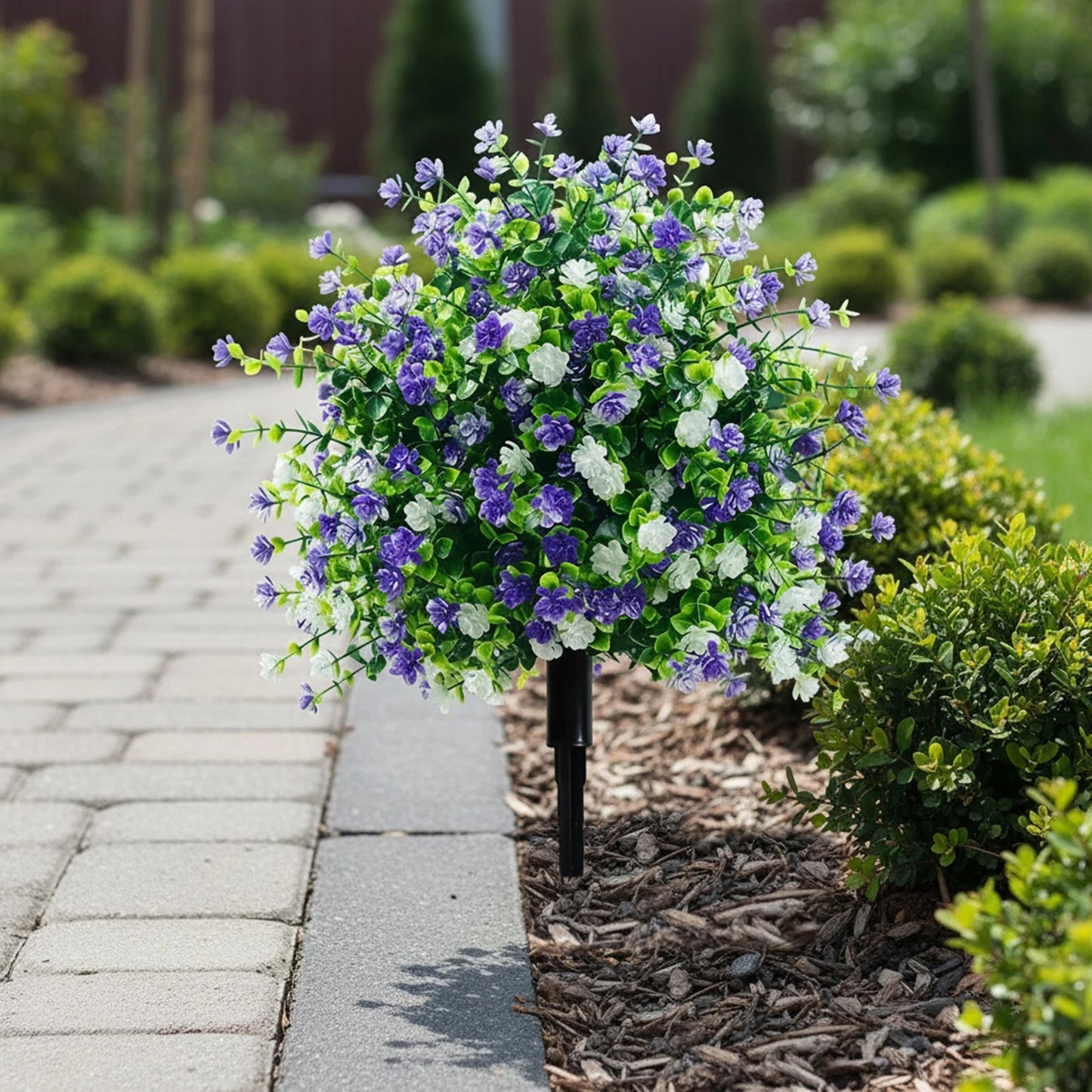 ViolaEver™ – Immer in Blüte, kein Gießen, kein Verblassen